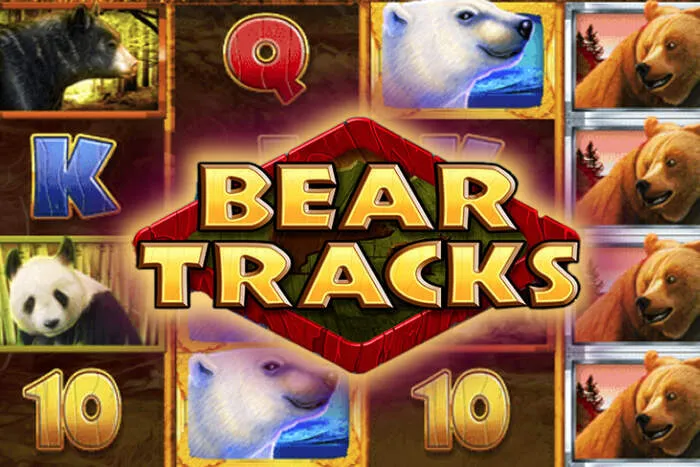 Intellectbetcasino live dealer blackjack table with a smiling dealer